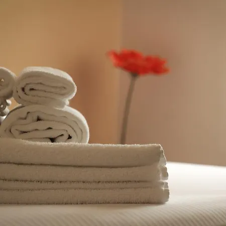 Solart Guest house *